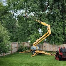 Best Sod Installation  in Eufaula, OK